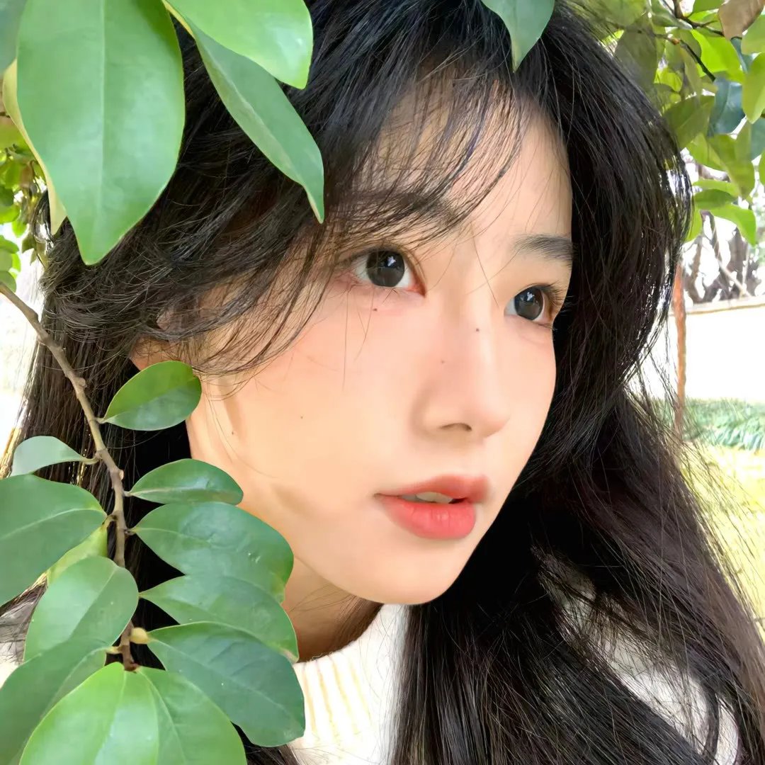 全家福